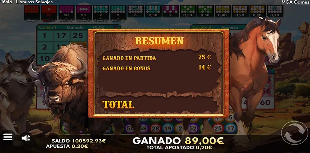 Bingo llanuras Salvajes-gallery-2