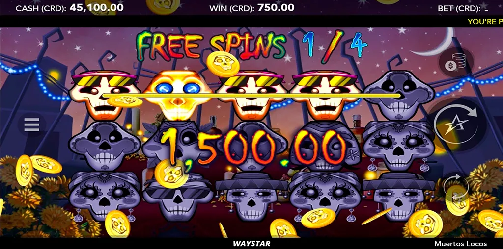 Muertos Locos-gallery-1