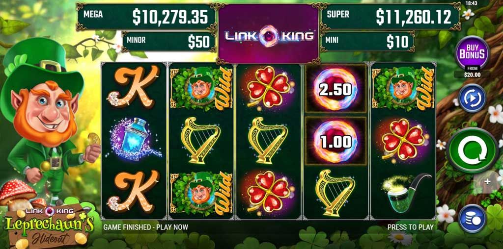 Link King Leprechaun's Hideout-gallery-0