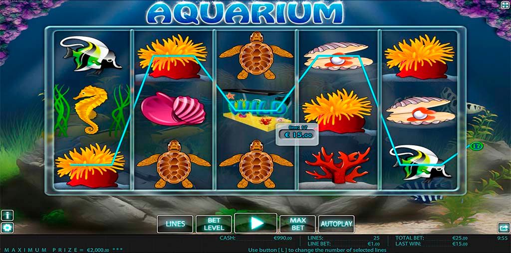 Aquarium HD-gallery-1
