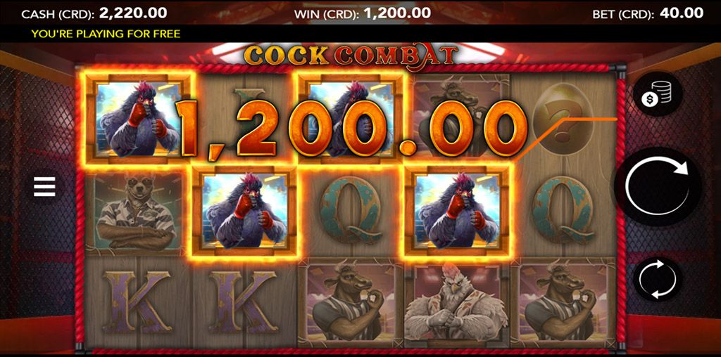 Cock Combat-gallery-1