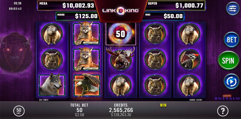 Burning Buffalo-gallery-2