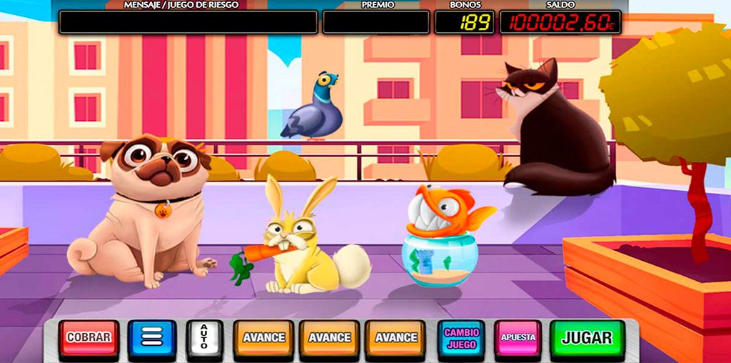 Fiesta de mascotas-gallery-1