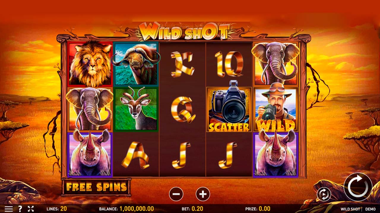 Wild Shot-gallery-2
