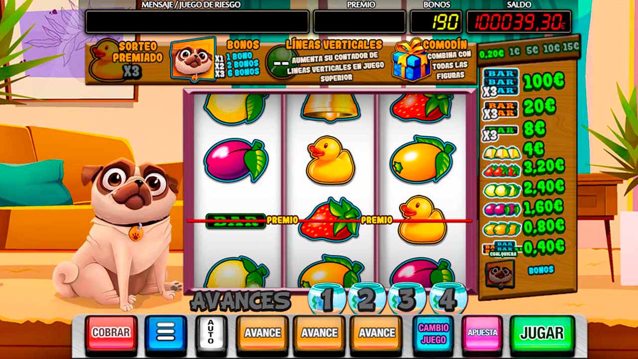 Fiesta de mascotas-gallery-2