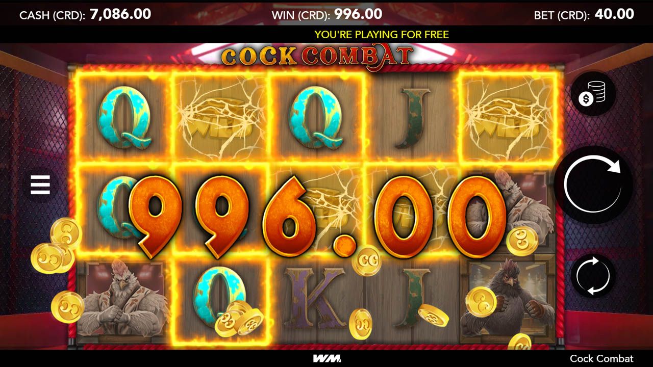 Cock Combat-gallery-2