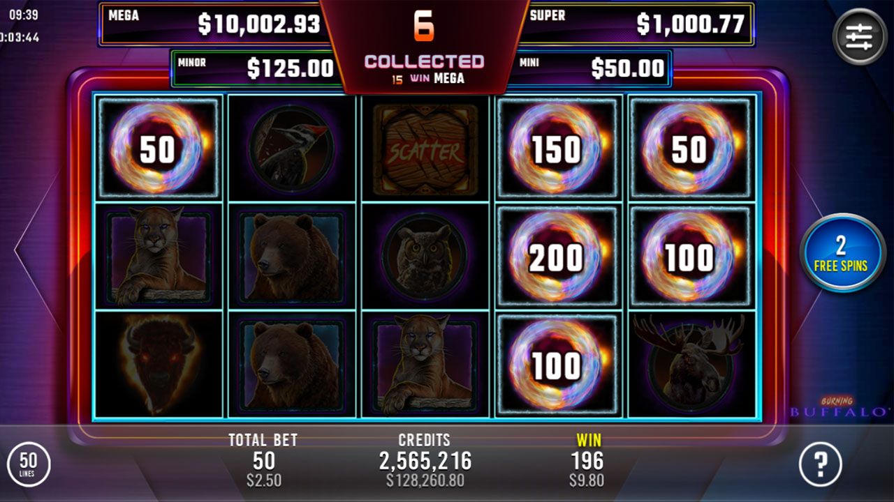 Burning Buffalo-gallery-1