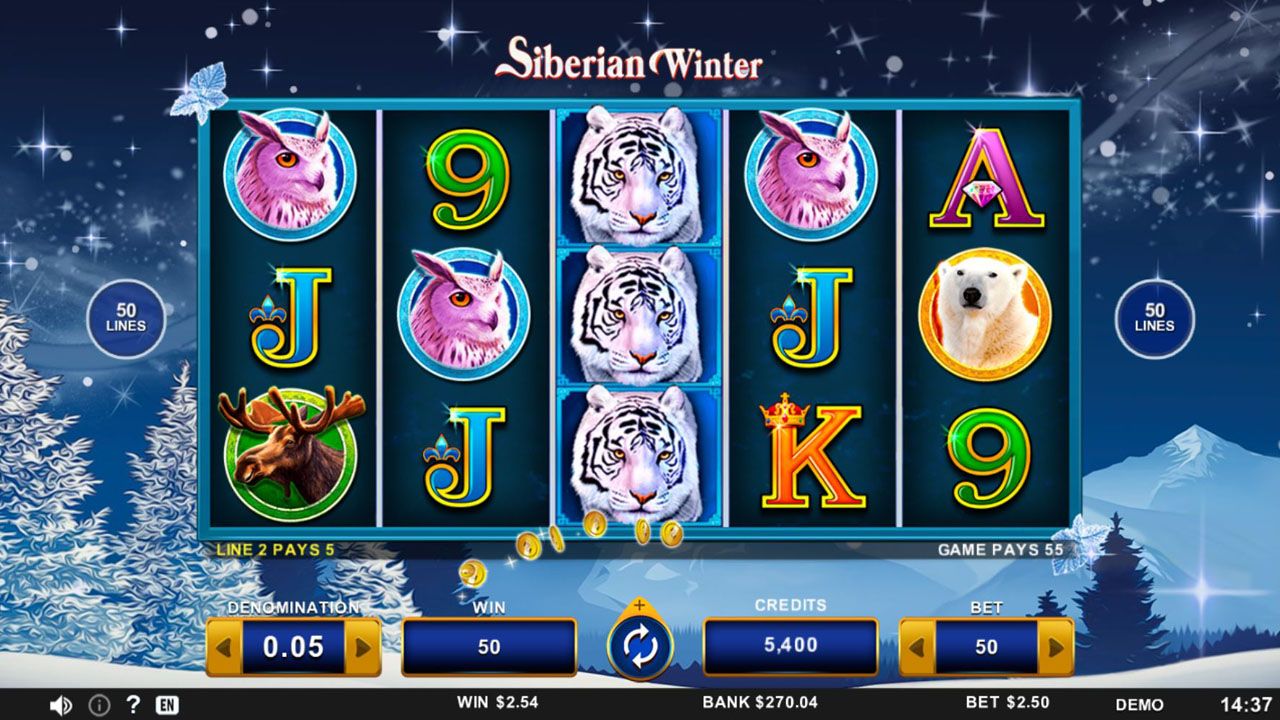 Siberian Winter-gallery-2