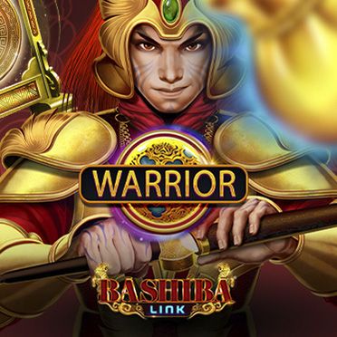 Bashiba Link Warrior