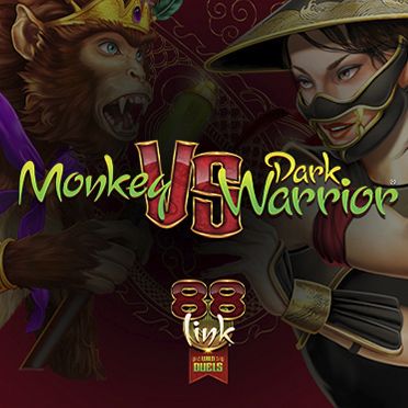 Monkey vs Dark Warrior