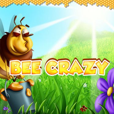 Bee Crazy HD