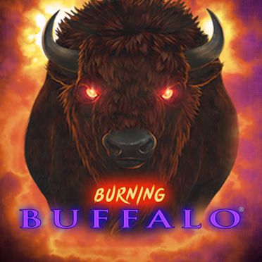 Burning Buffalo