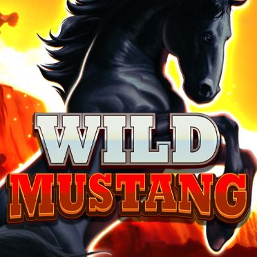Wild Mustang
