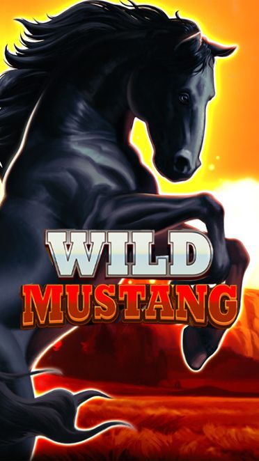 Wild Mustang