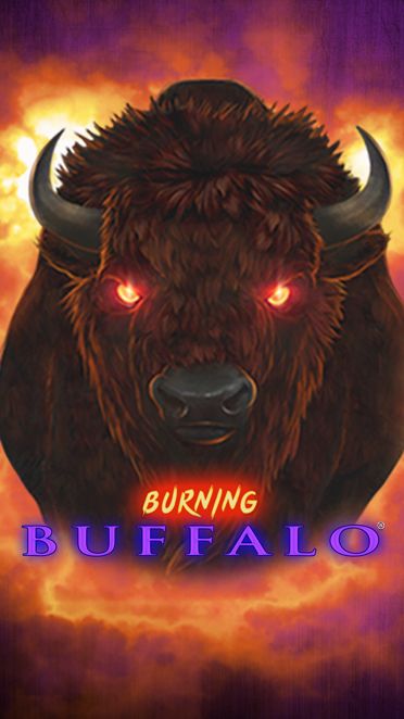 Burning Buffalo
