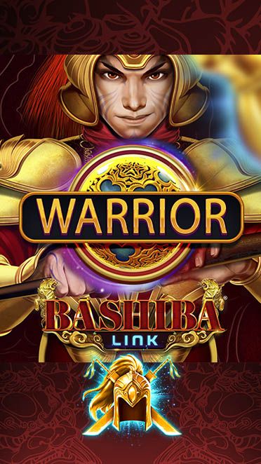 Bashiba Link Warrior