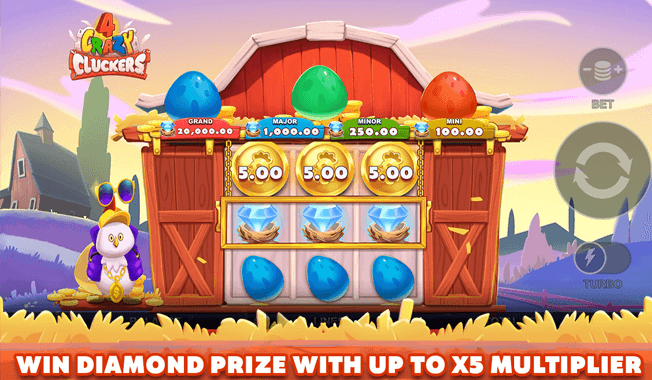 4 Crazy Cluckers-gallery-2