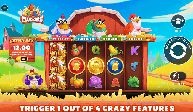 4 Crazy Cluckers-gallery-1