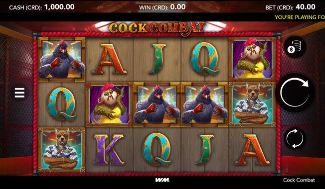 Cock Combat-gallery-0