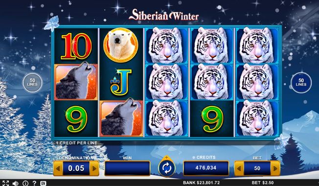 Siberian Winter-gallery-0