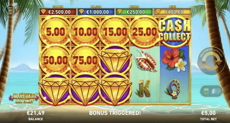 Alohawaii: Cash Collect™-gallery-1
