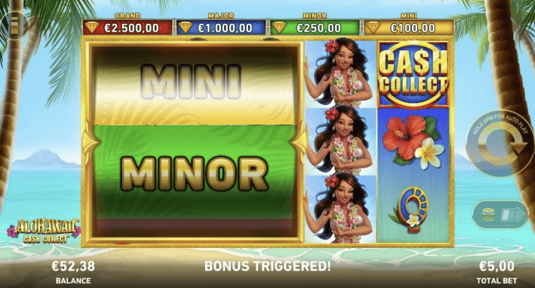 Alohawaii: Cash Collect™-gallery-2