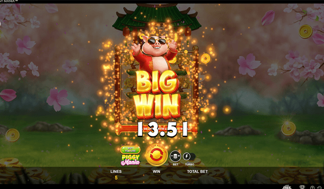 Piggy Mania™-gallery-0