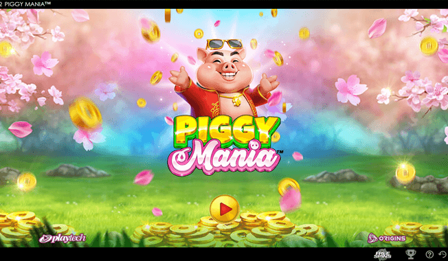 Piggy Mania™-gallery-2