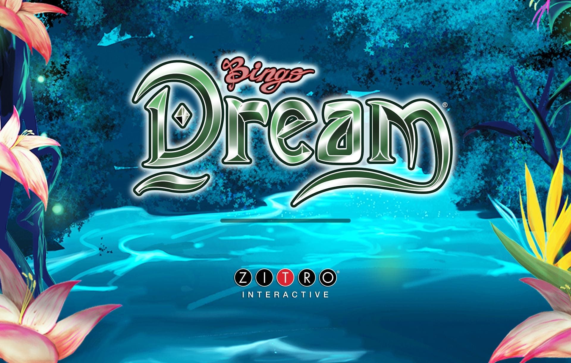 Bingo Dreams-gallery-2