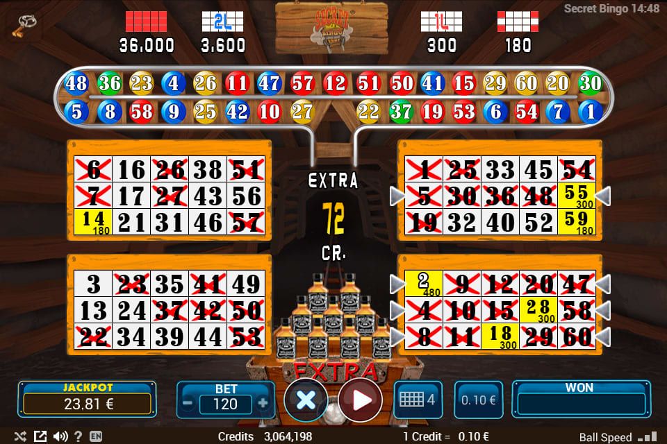 Secret Bingo-gallery-1