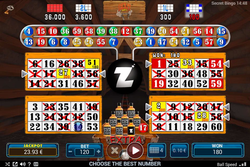 Secret Bingo-gallery-2