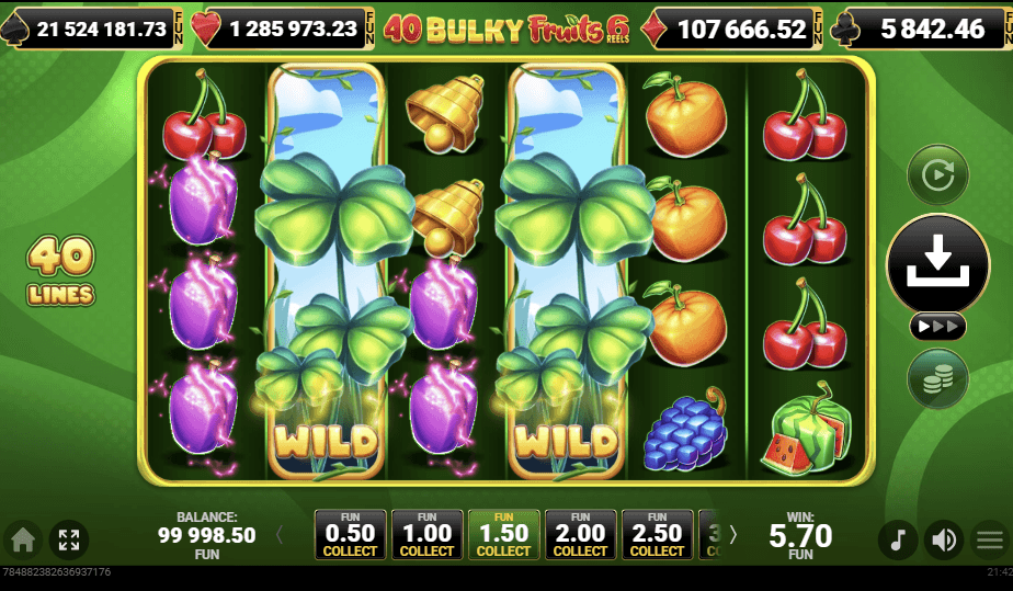 40 Bulky Fruits 6 Reels-gallery-2