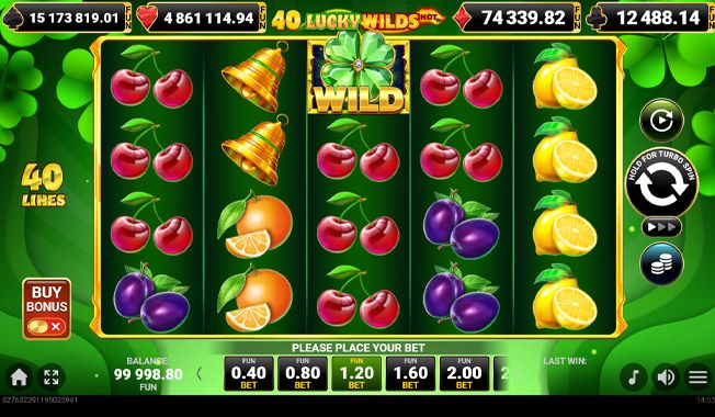 40 Lucky Wilds Hot-gallery-0