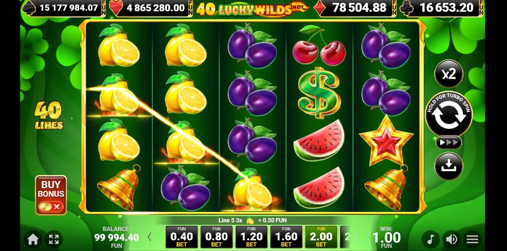 40 Lucky Wilds Hot-gallery-1