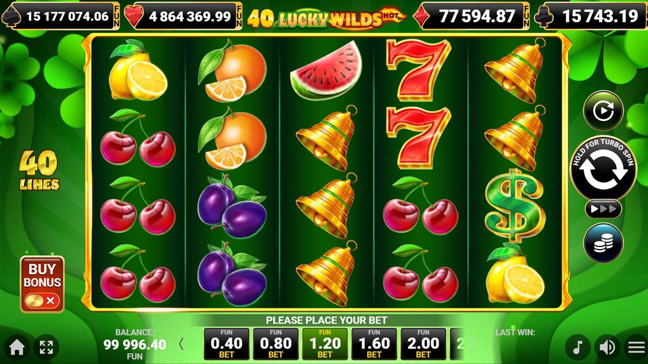 40 Lucky Wilds Hot-gallery-2