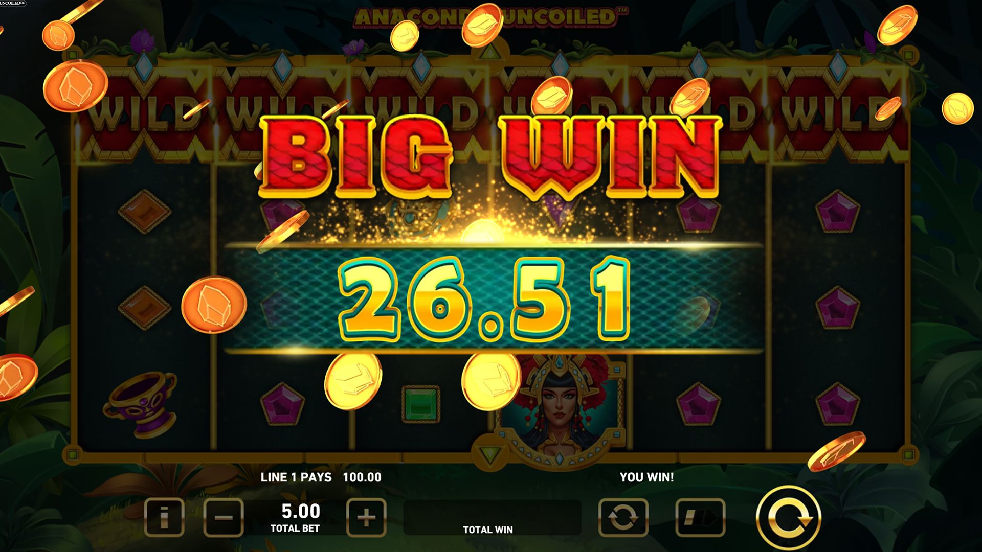 Anaconda Uncoiled™-gallery-0