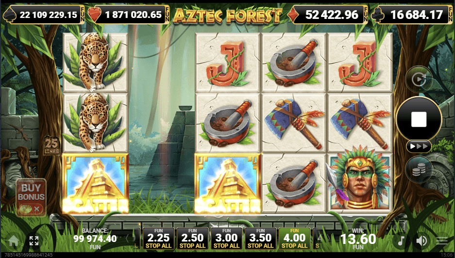 Aztec Forest-gallery-1