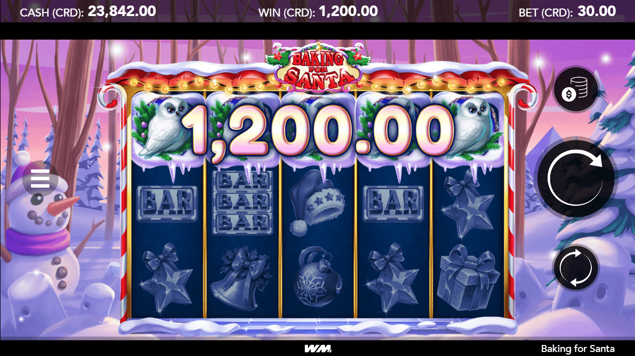 Baking for Santa-gallery-1