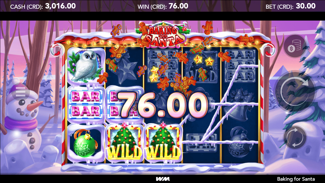 Baking for Santa-gallery-2