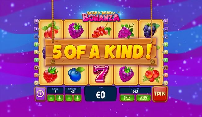 Berry Berry Bonanza™-gallery-2