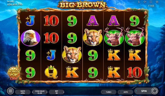 Big Brown-gallery-0