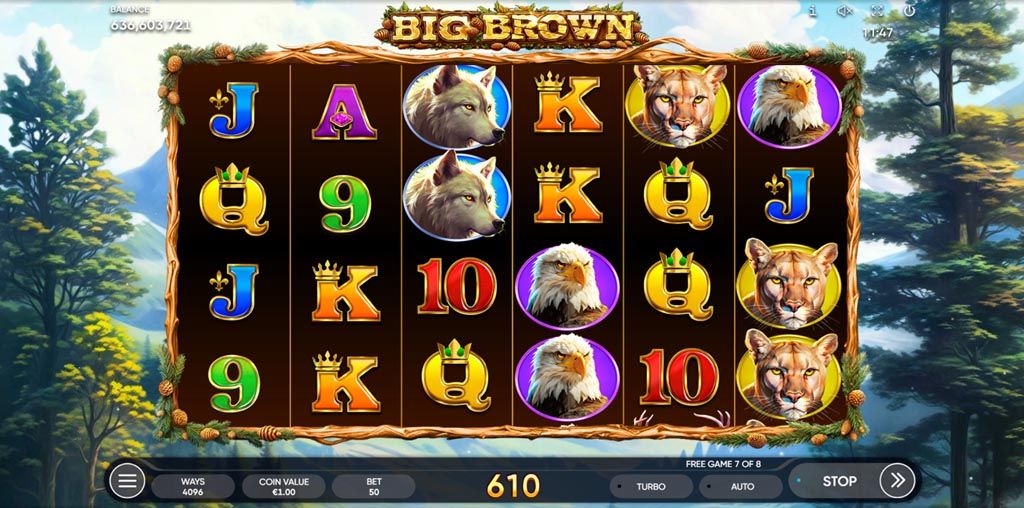 Big Brown-gallery-1