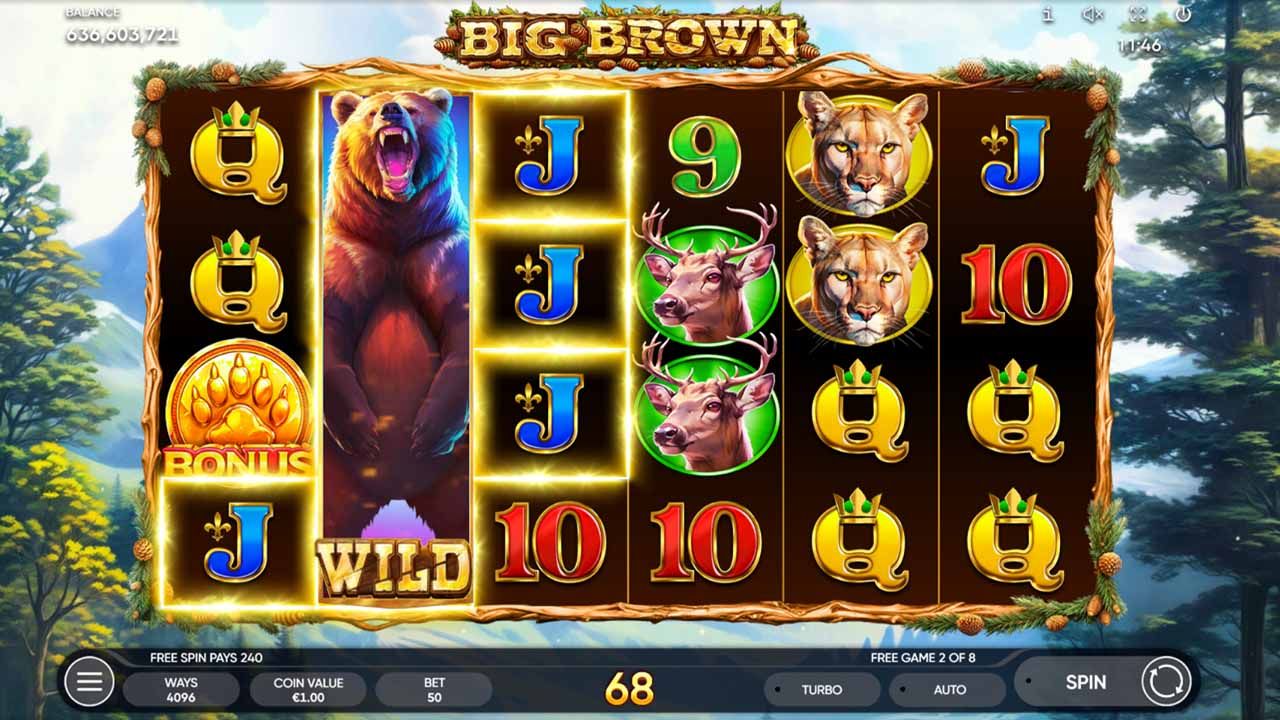 Big Brown-gallery-2