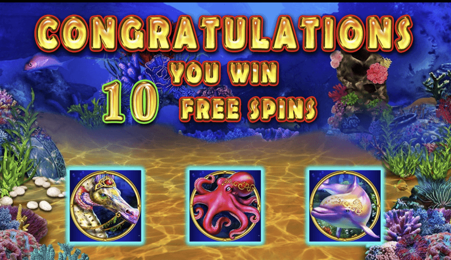 Blue Oceans-gallery-2