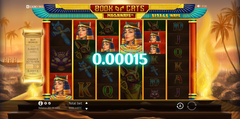 Book of Cats Megaways-gallery-1