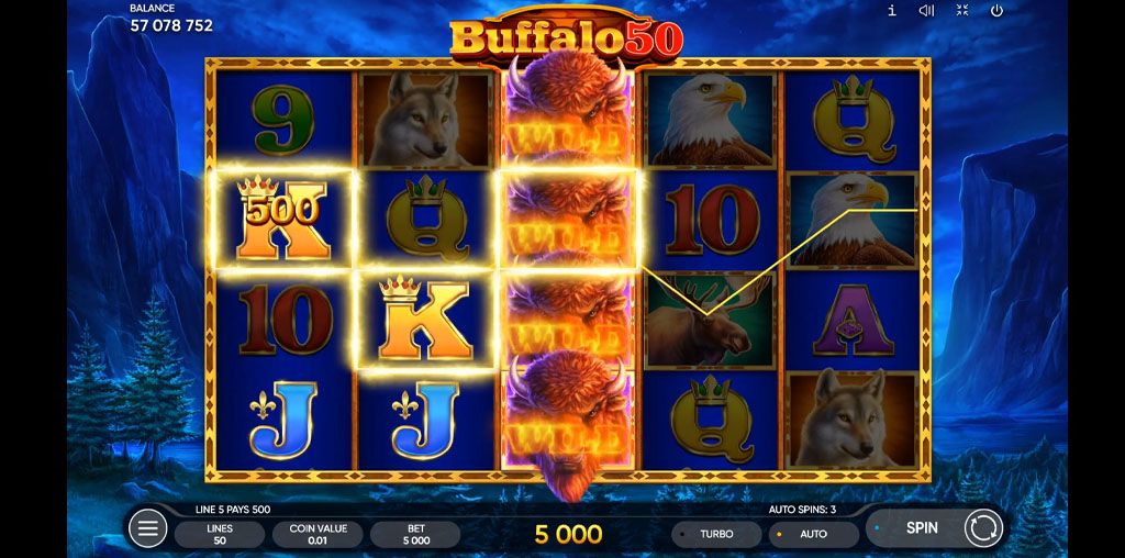 Buffalo 50-gallery-0