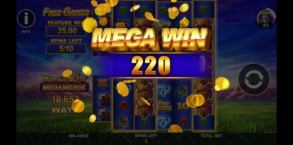 Buffalo Blitz: Mega Merge-gallery-2