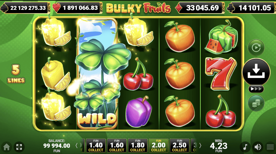 Bulky Fruits-gallery-2