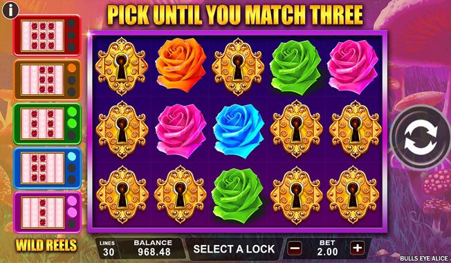 Bulls Eye Alice-gallery-0