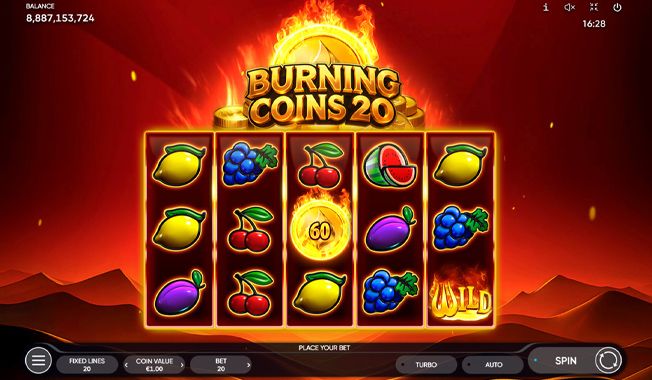 Burning Coins 20-gallery-0